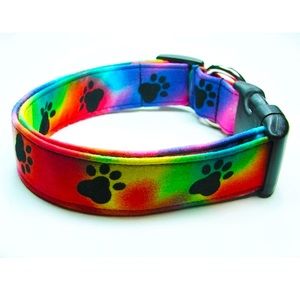 Rainbow paws dog collar
